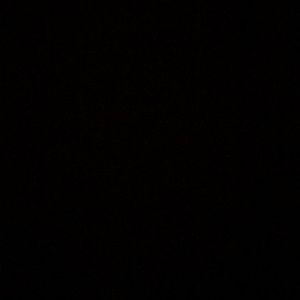 Meet your Posher, Damien